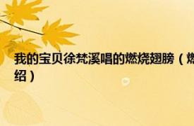 我的宝贝徐梵溪唱的燃烧翅膀（燃烧翅膀 徐梵溪演唱歌曲相关内容简介介绍）