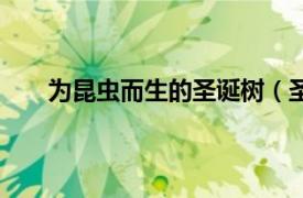 为昆虫而生的圣诞树（圣诞树虫相关内容简介介绍）