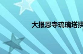 大报恩寺琉璃塔拱门相关内容简介介绍