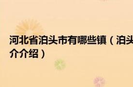 河北省泊头市有哪些镇（泊头镇 河北省泊头市泊头镇相关内容简介介绍）