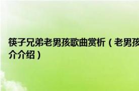 筷子兄弟老男孩歌曲赏析（老男孩 2010年筷子兄弟演唱的歌曲相关内容简介介绍）