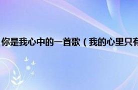 你是我心中的一首歌（我的心里只有你 何秋苹演唱歌曲相关内容简介介绍）