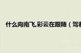 什么向南飞,彩云在跟随（驾着云彩飞回家相关内容简介介绍）