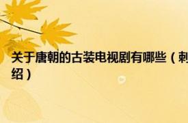 关于唐朝的古装电视剧有哪些（刺唐 2017古装武侠电视剧相关内容简介介绍）