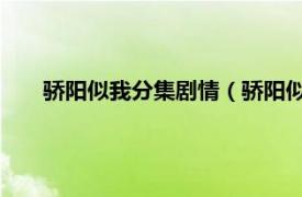 骄阳似我分集剧情（骄阳似我 电视剧相关内容简介介绍）