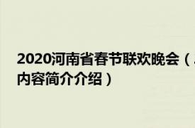 2020河南省春节联欢晚会（2022年河南卫视春节联欢晚会相关内容简介介绍）