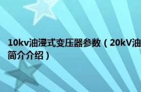 10kv油浸式变压器参数（20kV油浸式配电变压器技术参数和要求相关内容简介介绍）