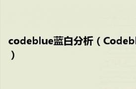 codeblue蓝白分析（Codeblue 蓝色代码病毒相关内容简介介绍）