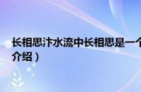 长相思汴水流中长相思是一个什么（长相思汴水流相关内容简介介绍）