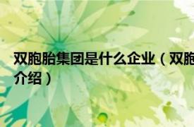 双胞胎集团是什么企业（双胞胎 集团股份有限公司相关内容简介介绍）