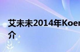 艾未未2014年Koenig  Books出版的图书简介