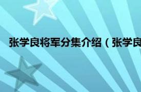 张学良将军分集介绍（张学良将军12DVD相关内容简介介绍）