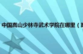 中国嵩山少林寺武术学院在哪里（嵩山少林寺武术学院相关内容简介介绍）