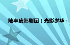 陆丰皮影剧团（光影岁华：陆丰皮影戏相关内容简介介绍）