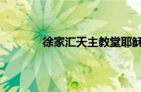 徐家汇天主教堂耶稣会总医院相关内容简介