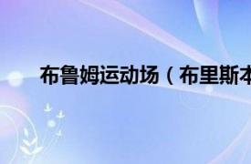 布鲁姆运动场（布里斯本体育场相关内容简介介绍）