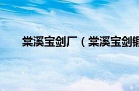 棠溪宝剑厂（棠溪宝剑锻制技艺相关内容简介介绍）