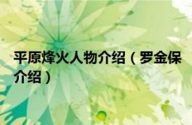 平原烽火人物介绍（罗金保 《平原烽火》中的角色相关内容简介介绍）