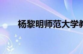 杨黎明师范大学教育学院副教授简介