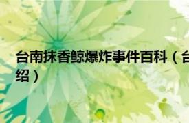 台南抹香鲸爆炸事件百科（台南抹香鲸爆炸事件相关内容简介介绍）