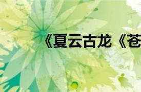 《夏云古龙《苍穹神剑》人物简介