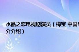 水晶之恋电视剧演员（梅宝 中国电视剧《水晶之恋》中的角色相关内容简介介绍）