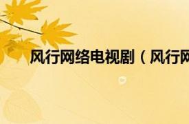 风行网络电视剧（风行网络电视相关内容简介介绍）