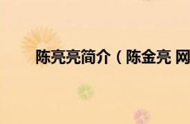 陈亮亮简介（陈金亮 网站站长相关内容简介介绍）