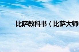 比萨教科书（比萨大师中文版相关内容简介介绍）