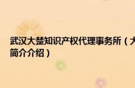 武汉大楚知识产权代理事务所（大楚 武汉知识产权事务有限公司相关内容简介介绍）