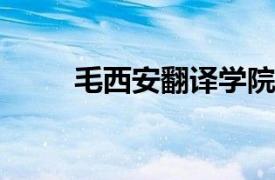 毛西安翻译学院教师相关内容简介