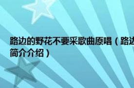 路边的野花不要采歌曲原唱（路边的野花不要采 卓依婷演唱歌曲相关内容简介介绍）