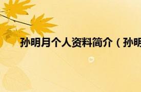 孙明月个人资料简介（孙明月 艺术家相关内容简介介绍）