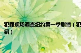 犯罪现场调查纽约第一季剧情（犯罪现场调查：纽约第一季相关内容简介介绍）