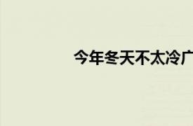 今年冬天不太冷广帅电影相关内容介绍