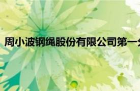 周小波钢绳股份有限公司第一分公司一级维修班长相关内容简介