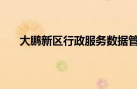 大鹏新区行政服务数据管理局领导彭森相关内容简介