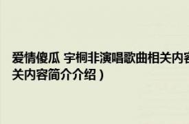 爱情傻瓜 宇桐非演唱歌曲相关内容简介介绍（爱情傻瓜 宇桐非演唱歌曲相关内容简介介绍）