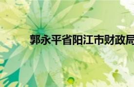 郭永平省阳江市财政局二级调研员相关内容简介