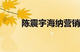 陈震宇海纳营销策划机构CEO介绍