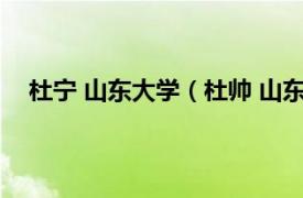 杜宁 山东大学（杜帅 山东大学教授相关内容简介介绍）