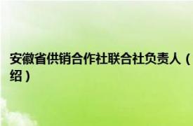 安徽省供销合作社联合社负责人（安徽省供销合作社联合社相关内容简介介绍）