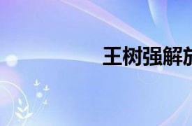 王树强解放军烈士简介