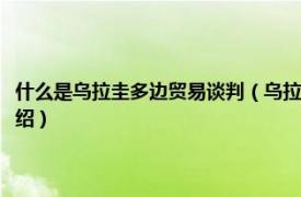 什么是乌拉圭多边贸易谈判（乌拉圭回合多边贸易谈判成果相关内容简介介绍）