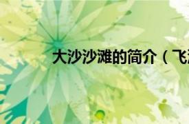 大沙沙滩的简介（飞沙滩相关内容简介介绍）