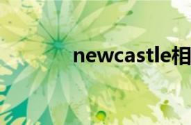 newcastle相关内容简介介绍