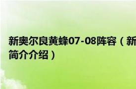 新奥尔良黄蜂07-08阵容（新奥尔良黄蜂队200910赛季相关内容简介介绍）