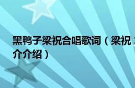 黑鸭子梁祝合唱歌词（梁祝 1994年黑鸭子演唱歌曲相关内容简介介绍）