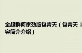 金超群何家劲版包青天（包青天 1993年金超群、何家劲主演电视剧相关内容简介介绍）