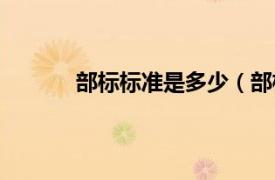 部标标准是多少（部标准相关内容简介介绍）